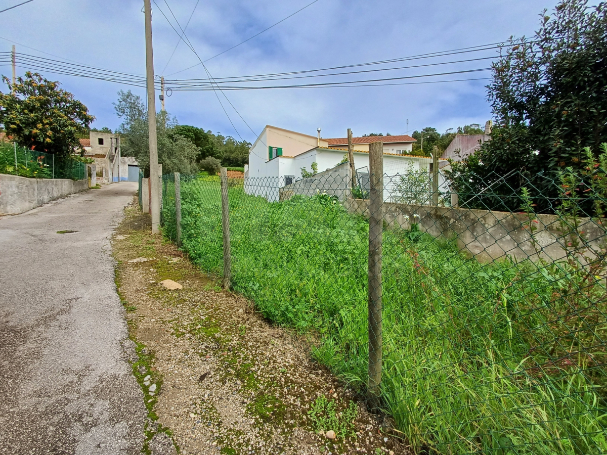 🌳 Terreno Urbano 2279m2 em Maiorga, Alcobaça