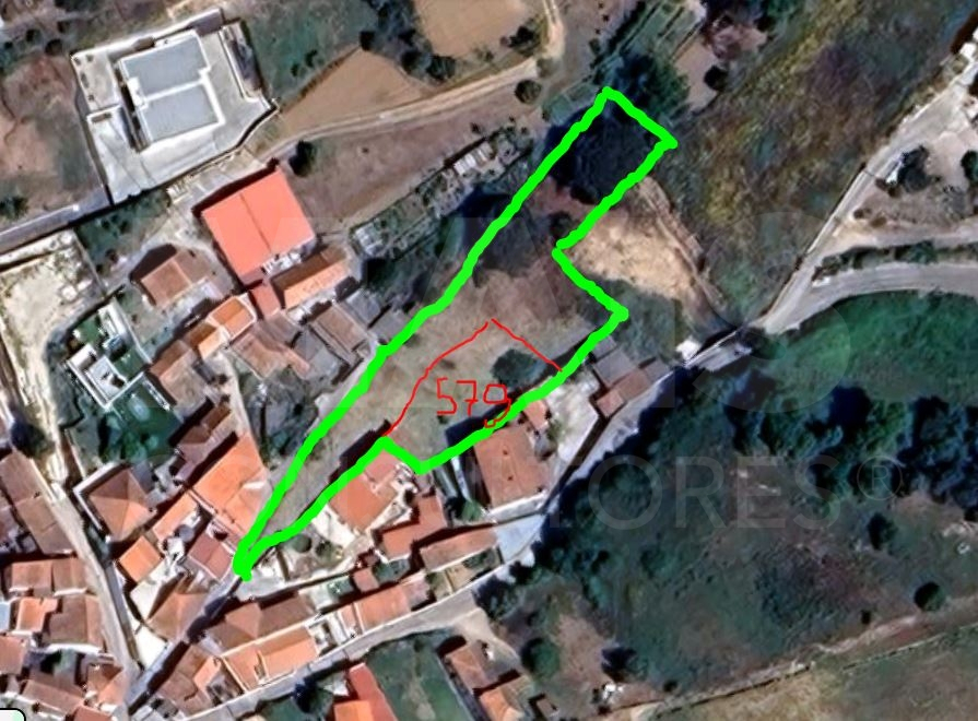 🌳 Urban plot 2279m2 in Maiorga, Alcobaça